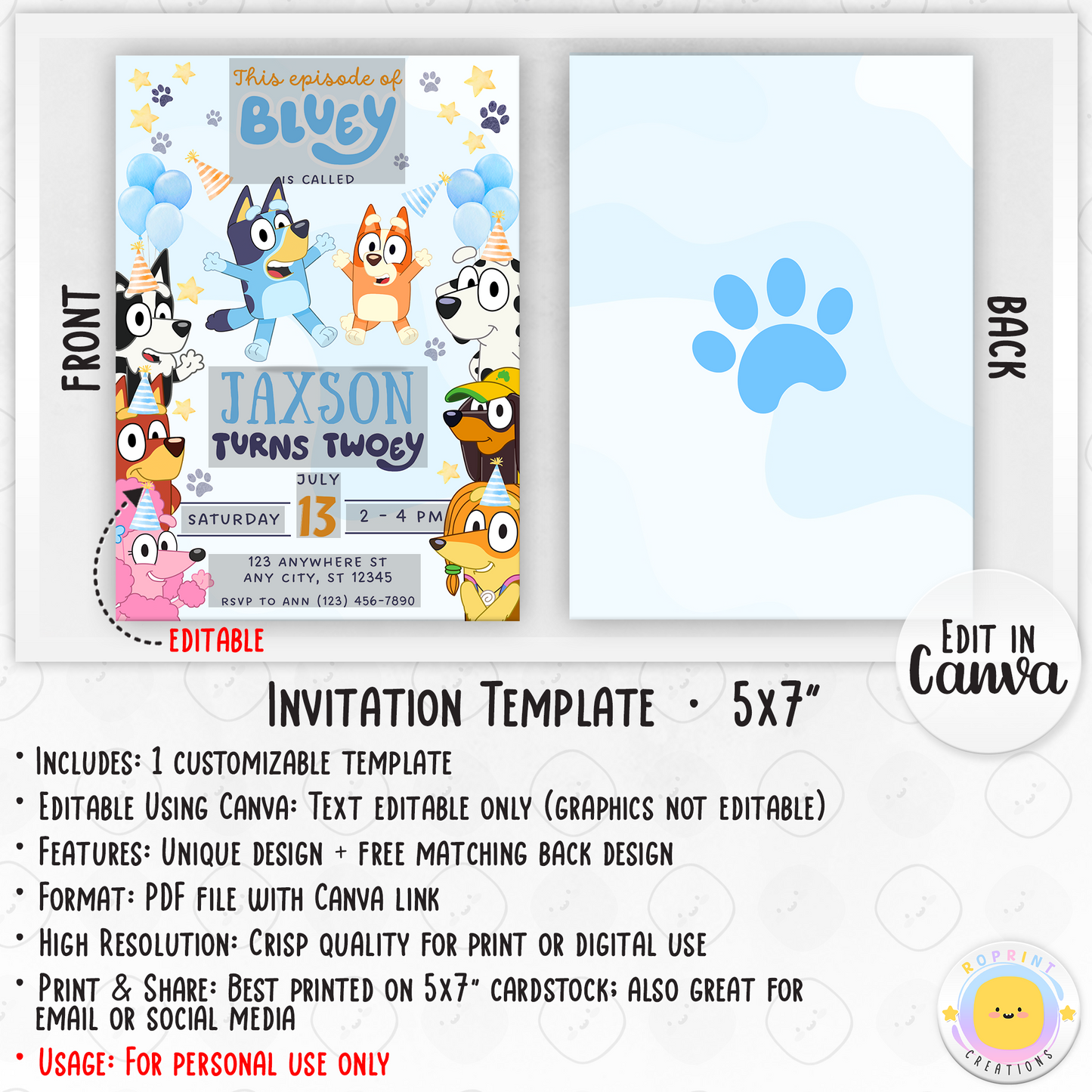 Bluey Birthday Invitation Template - Bluey boy 2nd Birthday Invitation Info